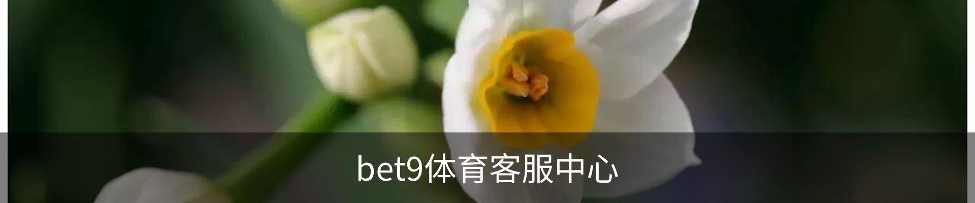 bet9体育客服中心